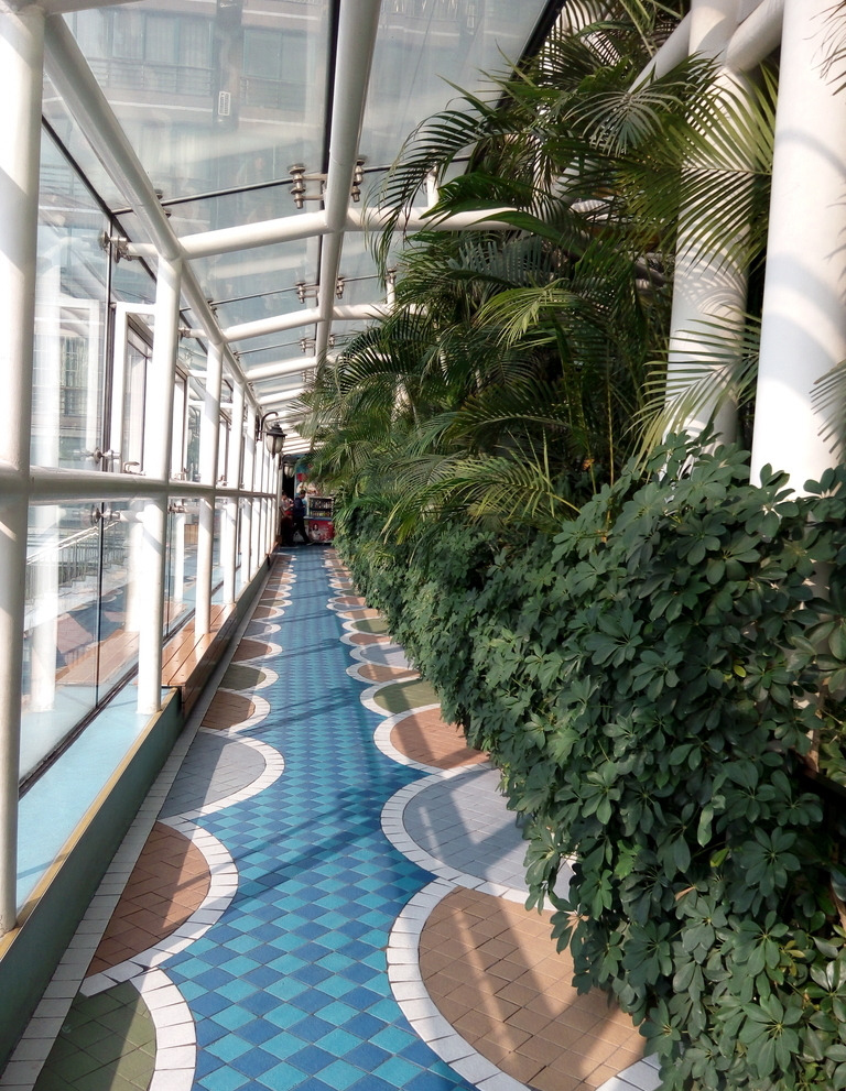 室內(nèi)過道景觀