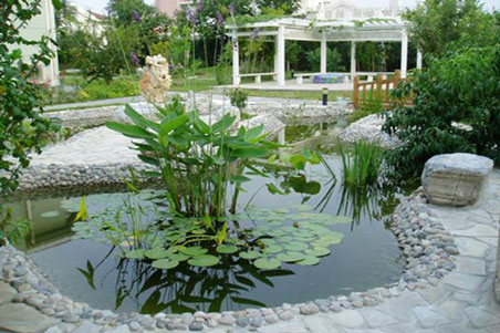 私家花園中水池施工步驟及水池實(shí)景圖